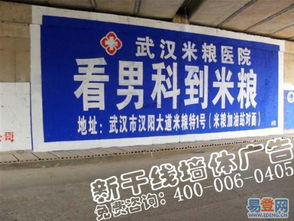 湖北墙体广告专业发布公司 点亮武汉及周边户外广告新视野